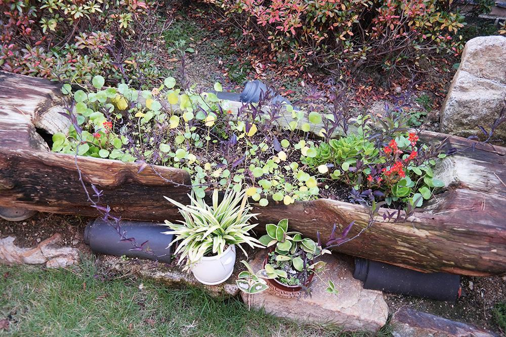 Yeonwoodang Guesthouse Jeonju Eksteriør bilde